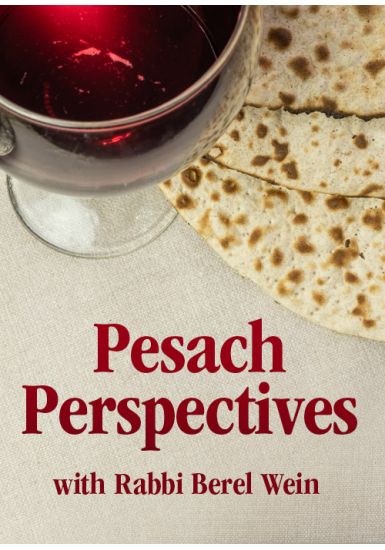 The Seder - Pesach Perspectives