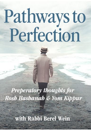 They Just Don't Get It - Pathways to Perfection